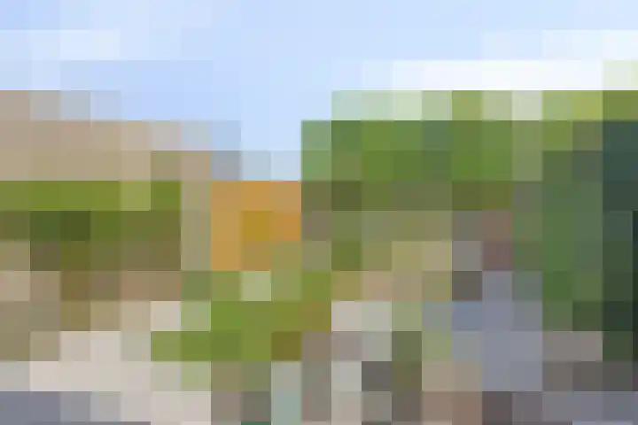 Torenvalk 13 Meppel thumbnail 34