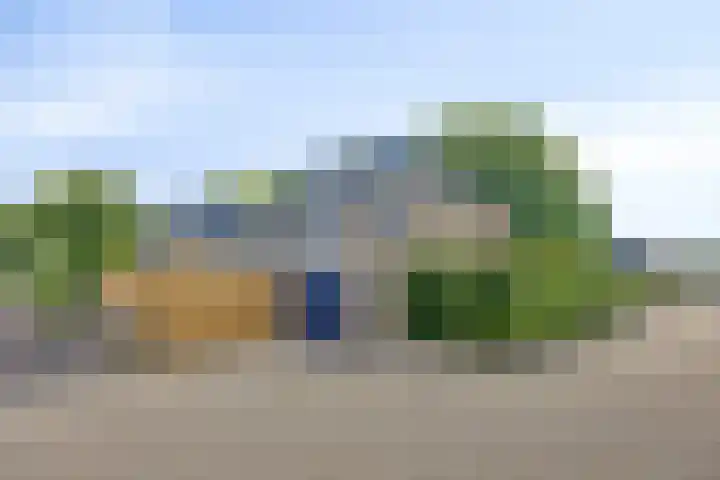 Torenvalk 13 Meppel thumbnail 35