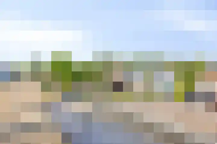 Torenvalk 13 Meppel thumbnail 36