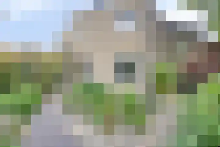 Torenvalk 13 Meppel thumbnail 37