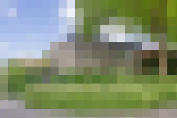 Torenvalk 13 Meppel thumbnail 38