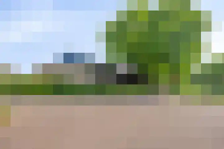 Torenvalk 13 Meppel thumbnail 39