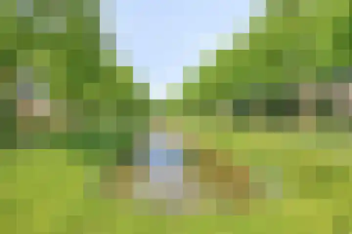 Torenvalk 13 Meppel thumbnail 42