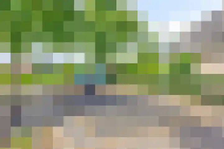 Torenvalk 13 Meppel thumbnail 43
