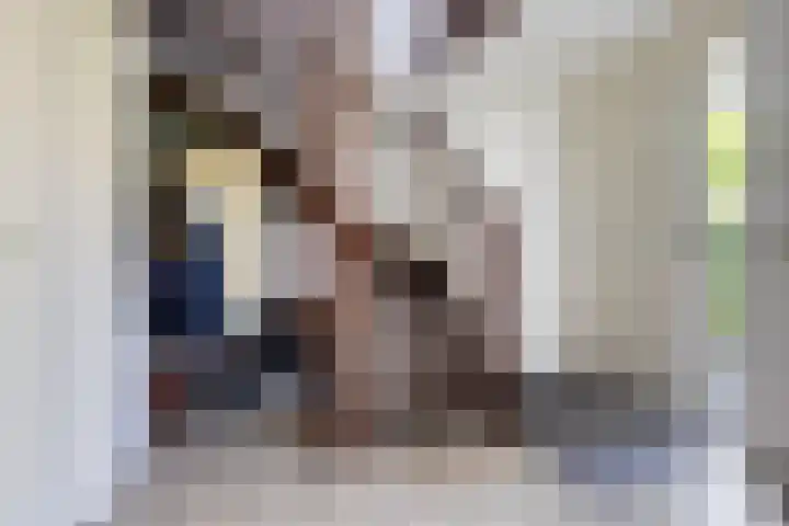 Torenvalk 13 Meppel thumbnail 5