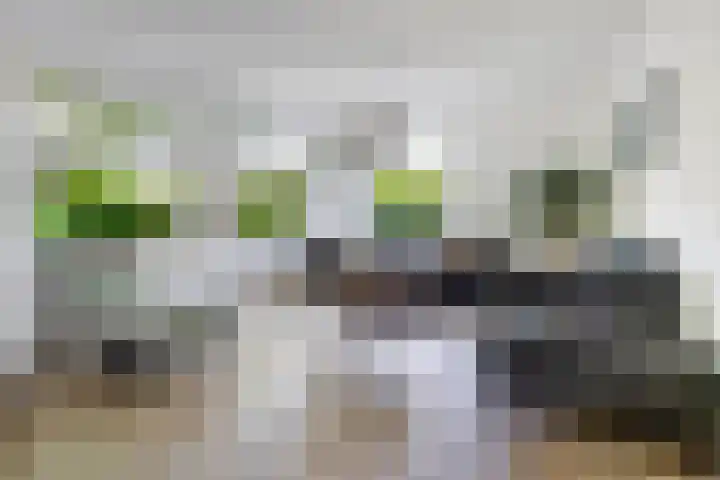 Torenvalk 13 Meppel thumbnail 7