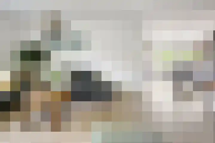 Torenvalk 13 Meppel thumbnail 8