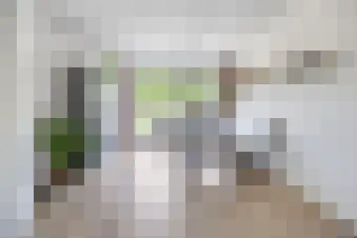 Torenvalk 13 Meppel thumbnail 9