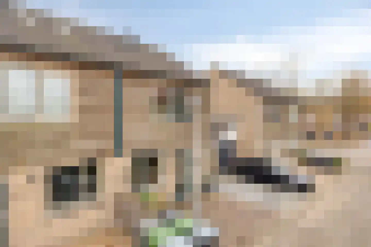 Torenvalk 130 Emmen thumbnail 10