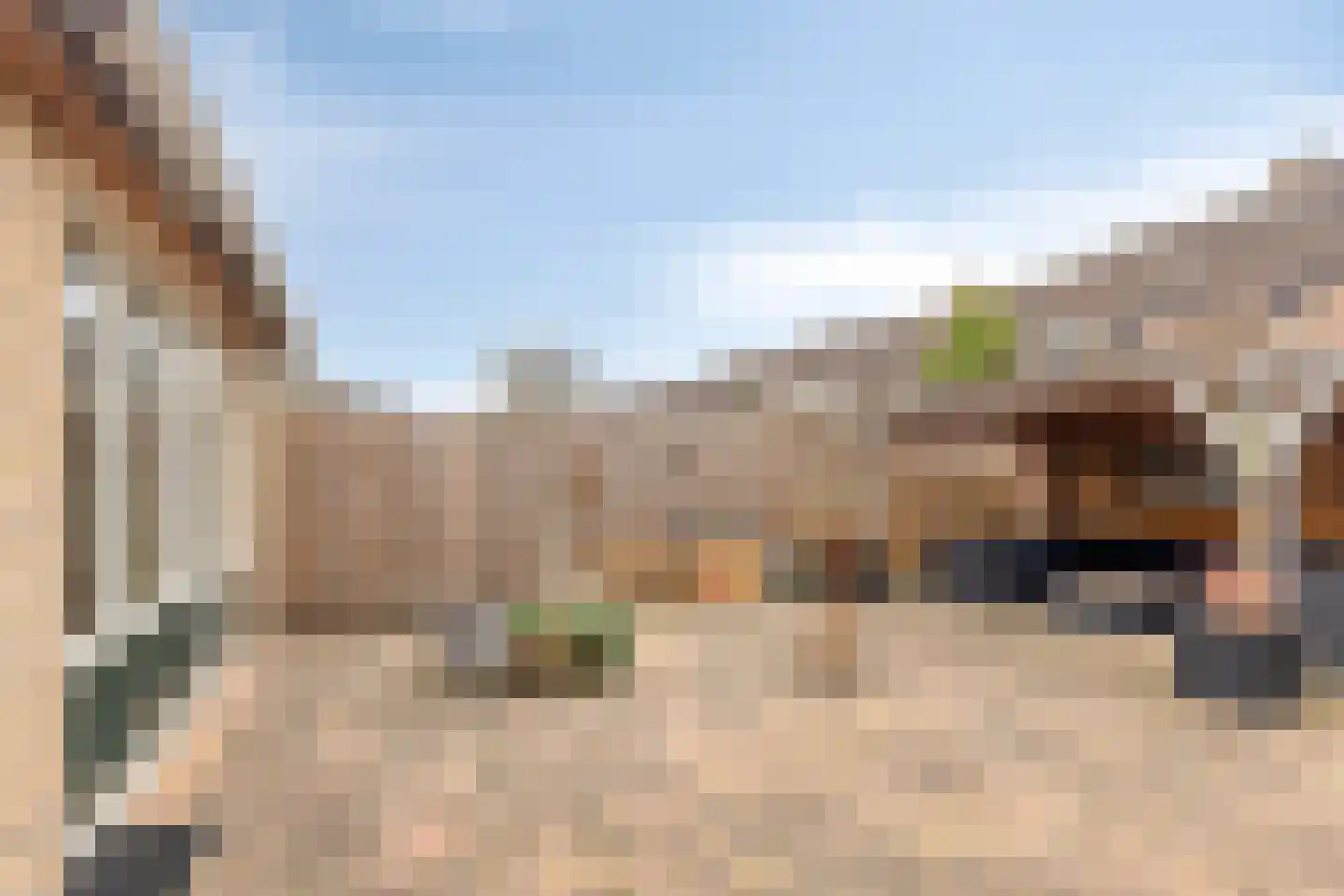 Torenvalk 130 Emmen thumbnail 38