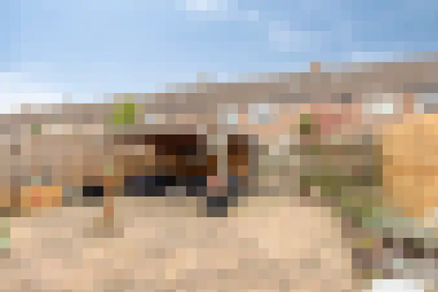 Torenvalk 130 Emmen thumbnail 39