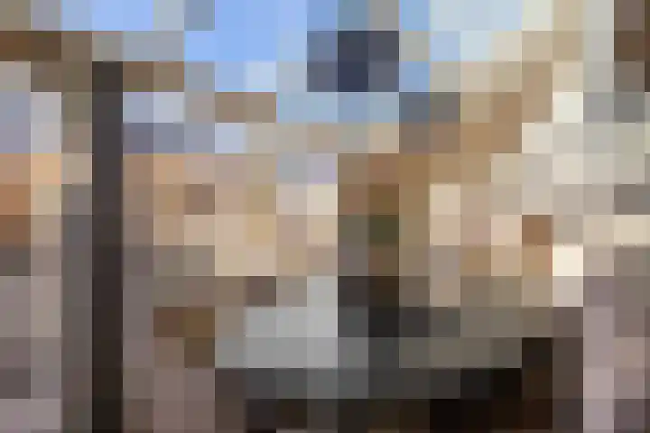 Torenvalk 132 Emmen thumbnail 12