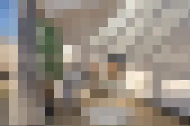 Torenvalk 132 Emmen thumbnail 13