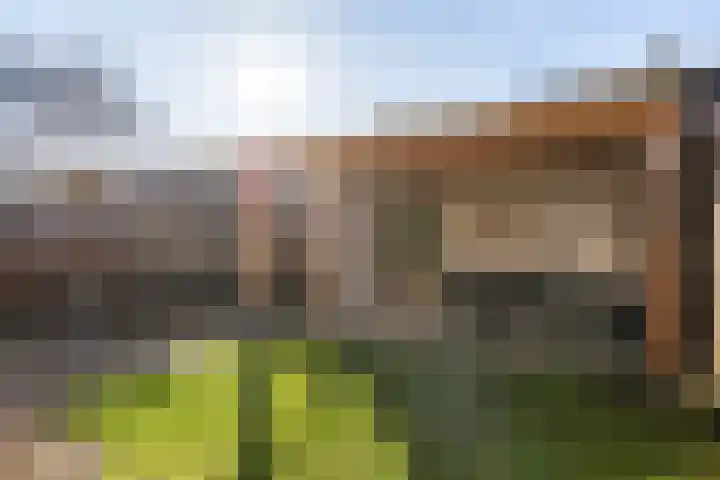 Torenvalk 132 Emmen thumbnail 38