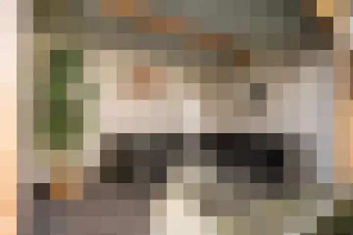 Torenvalk 132 Emmen thumbnail 39
