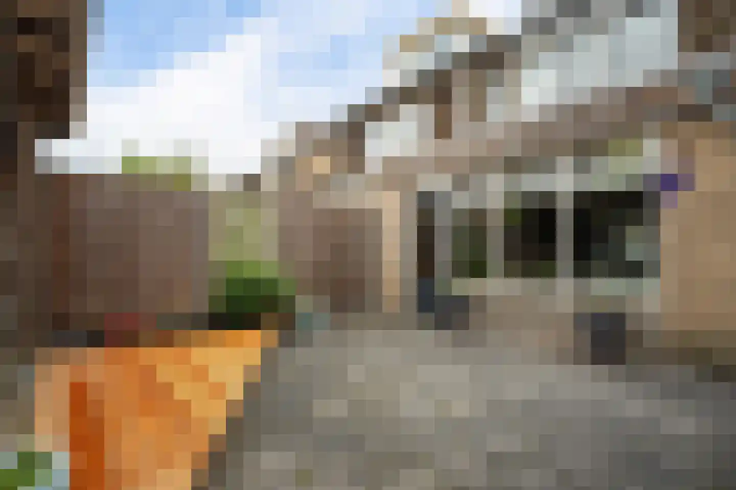 Torenvalk 133 Emmen thumbnail 33