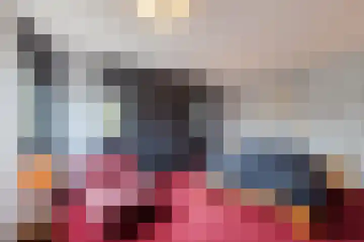 Torenvalk 14 Meppel thumbnail 15