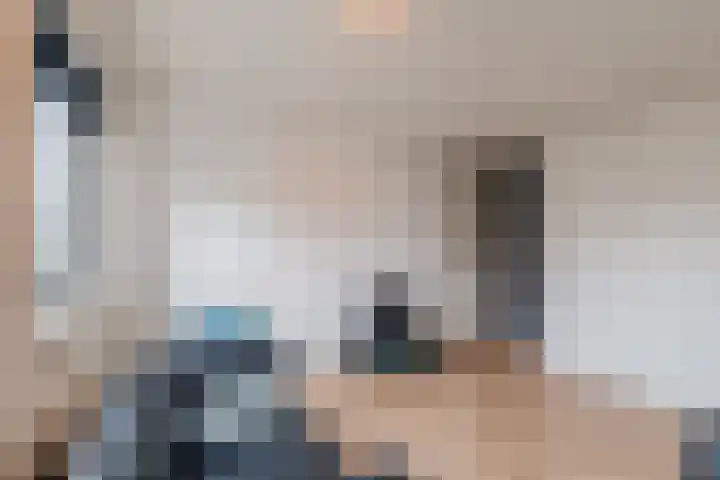 Torenvalk 14 Meppel thumbnail 21