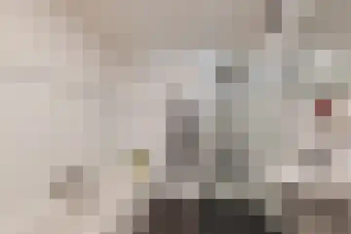Torenvalk 14 Meppel thumbnail 23
