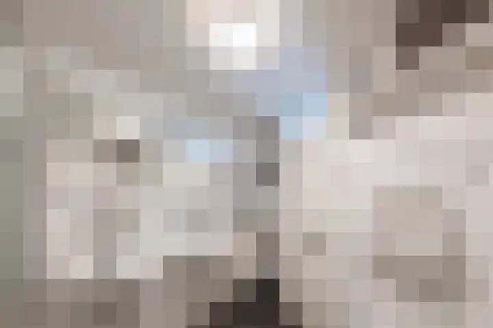 Torenvalk 14 Meppel thumbnail 24