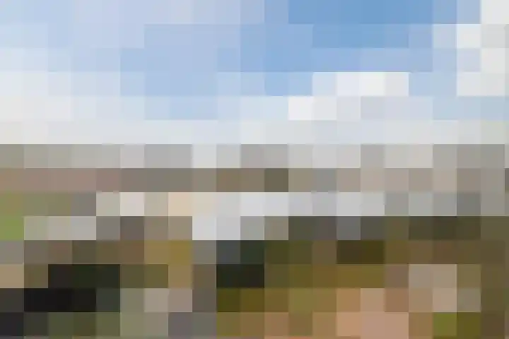 Torenvalk 14 Meppel thumbnail 30