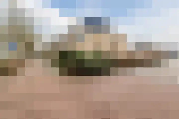 Torenvalk 14 Meppel thumbnail 31
