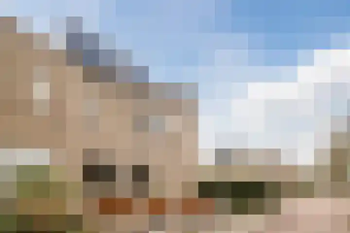 Torenvalk 14 Meppel thumbnail 32