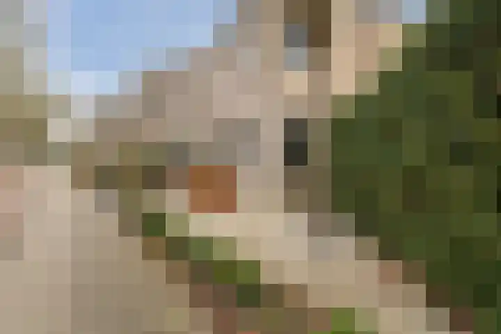 Torenvalk 14 Meppel thumbnail 33