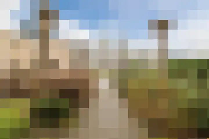 Torenvalk 14 Meppel thumbnail 35