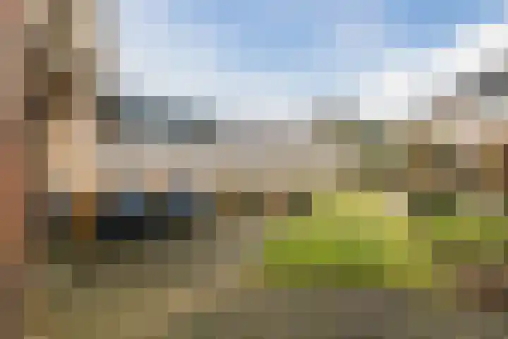 Torenvalk 14 Meppel thumbnail 38