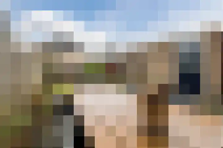 Torenvalk 14 Meppel thumbnail 39