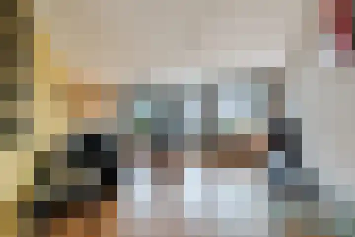 Torenvalk 14 Meppel thumbnail 4