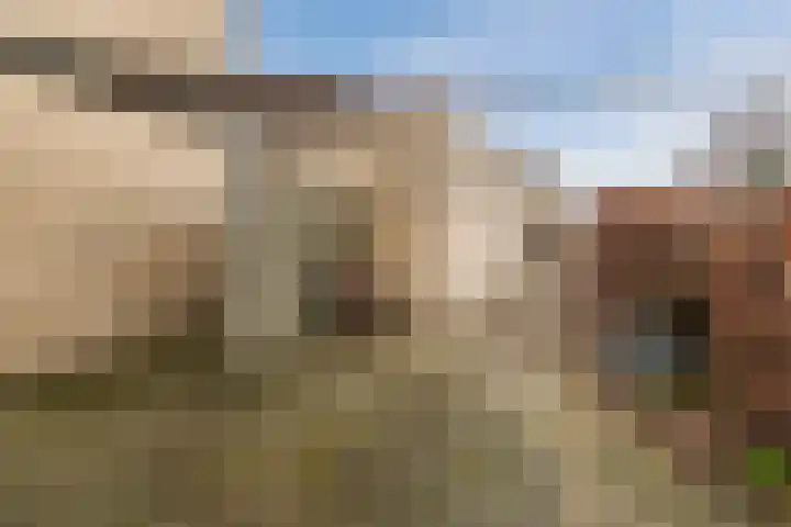 Torenvalk 14 Meppel thumbnail 40