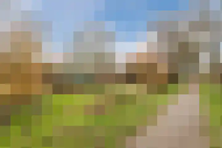 Torenvalk 14 Meppel thumbnail 41