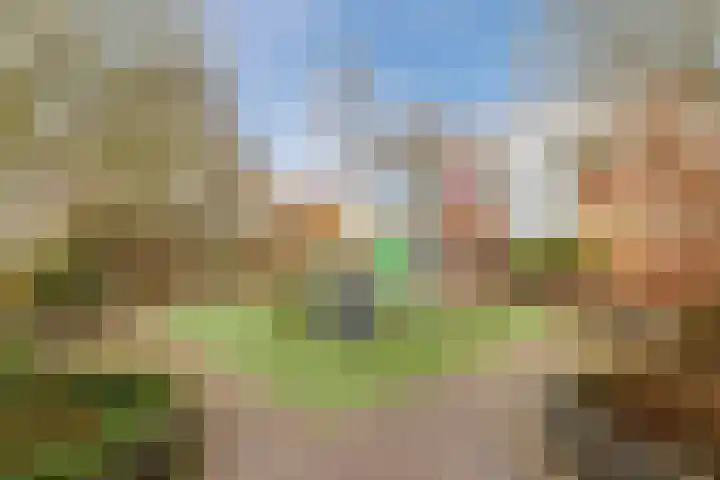 Torenvalk 14 Meppel thumbnail 42
