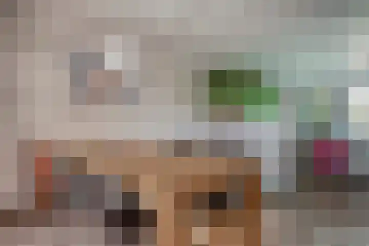 Torenvalk 14 Valkenburg thumbnail 13
