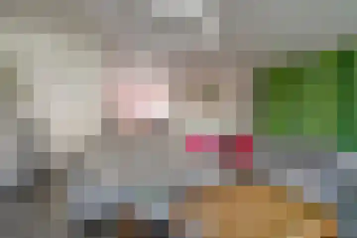 Torenvalk 14 Valkenburg thumbnail 17