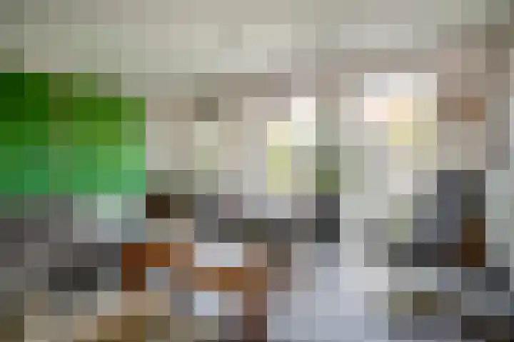 Torenvalk 14 Valkenburg thumbnail 19