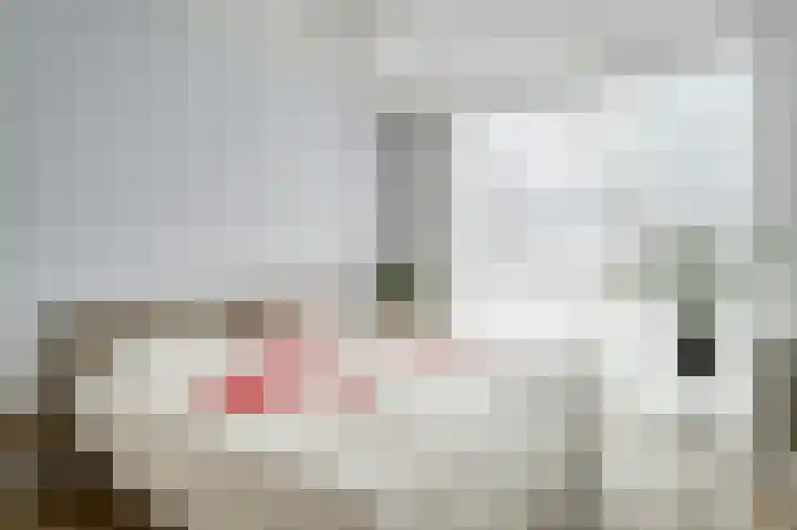 Torenvalk 14 Valkenburg thumbnail 27