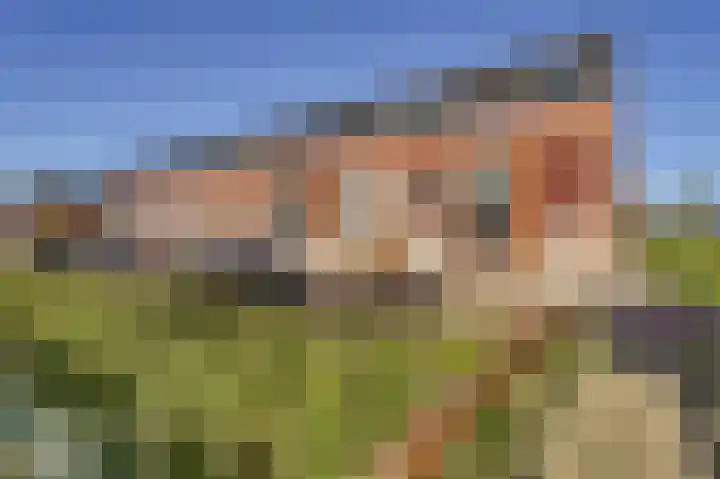 Torenvalk 14 Valkenburg thumbnail 42