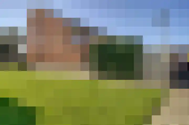 Torenvalk 14 Valkenburg thumbnail 47