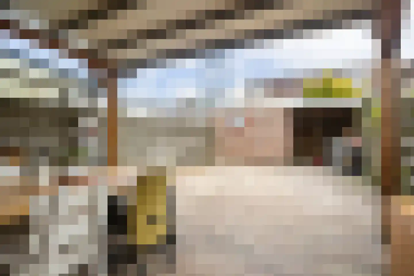 Torenvalk 14 Veenendaal thumbnail 37