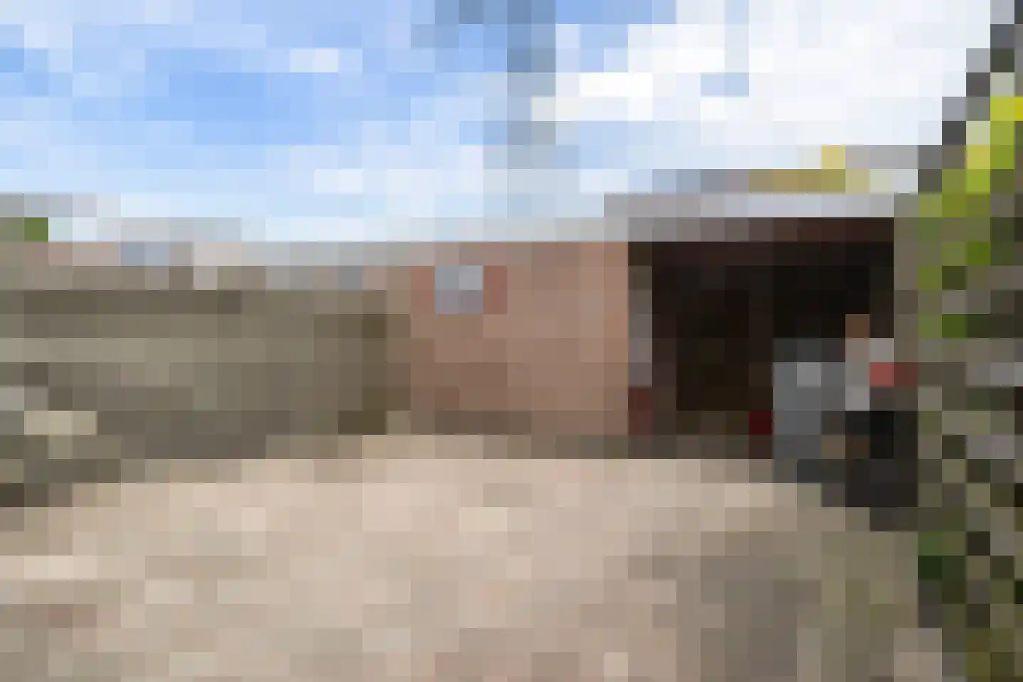 Torenvalk 14 Veenendaal thumbnail 38