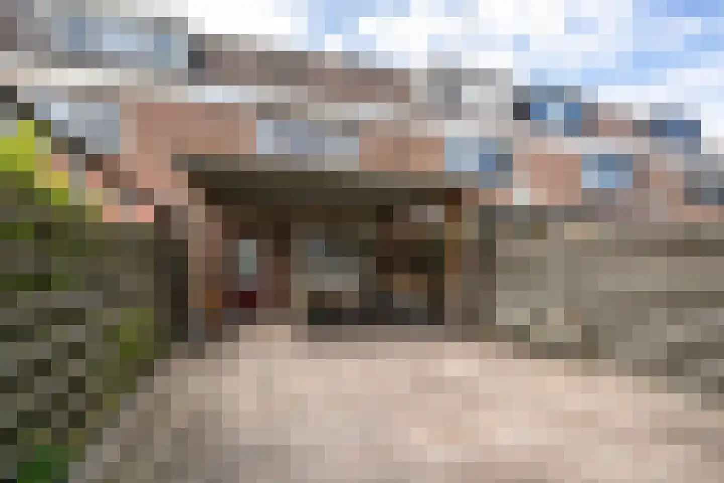 Torenvalk 14 Veenendaal thumbnail 39