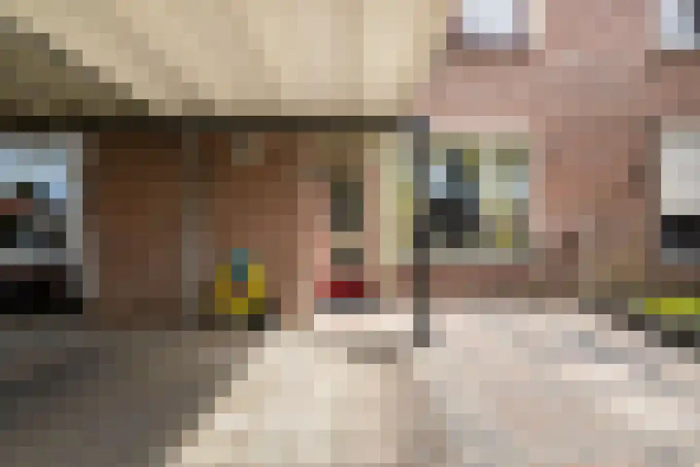Torenvalk 14 Veenendaal thumbnail 43