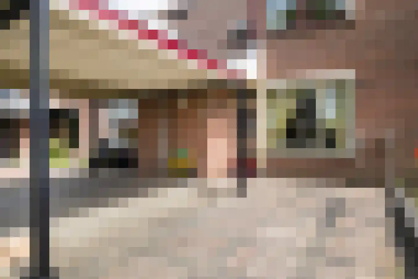 Torenvalk 14 Veenendaal thumbnail 44