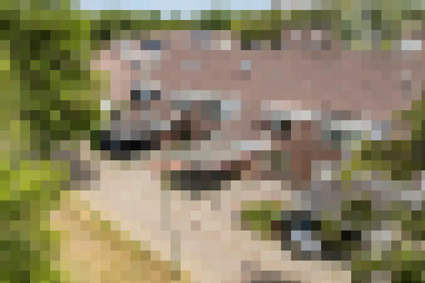 Torenvalk 14 Veenendaal thumbnail 47