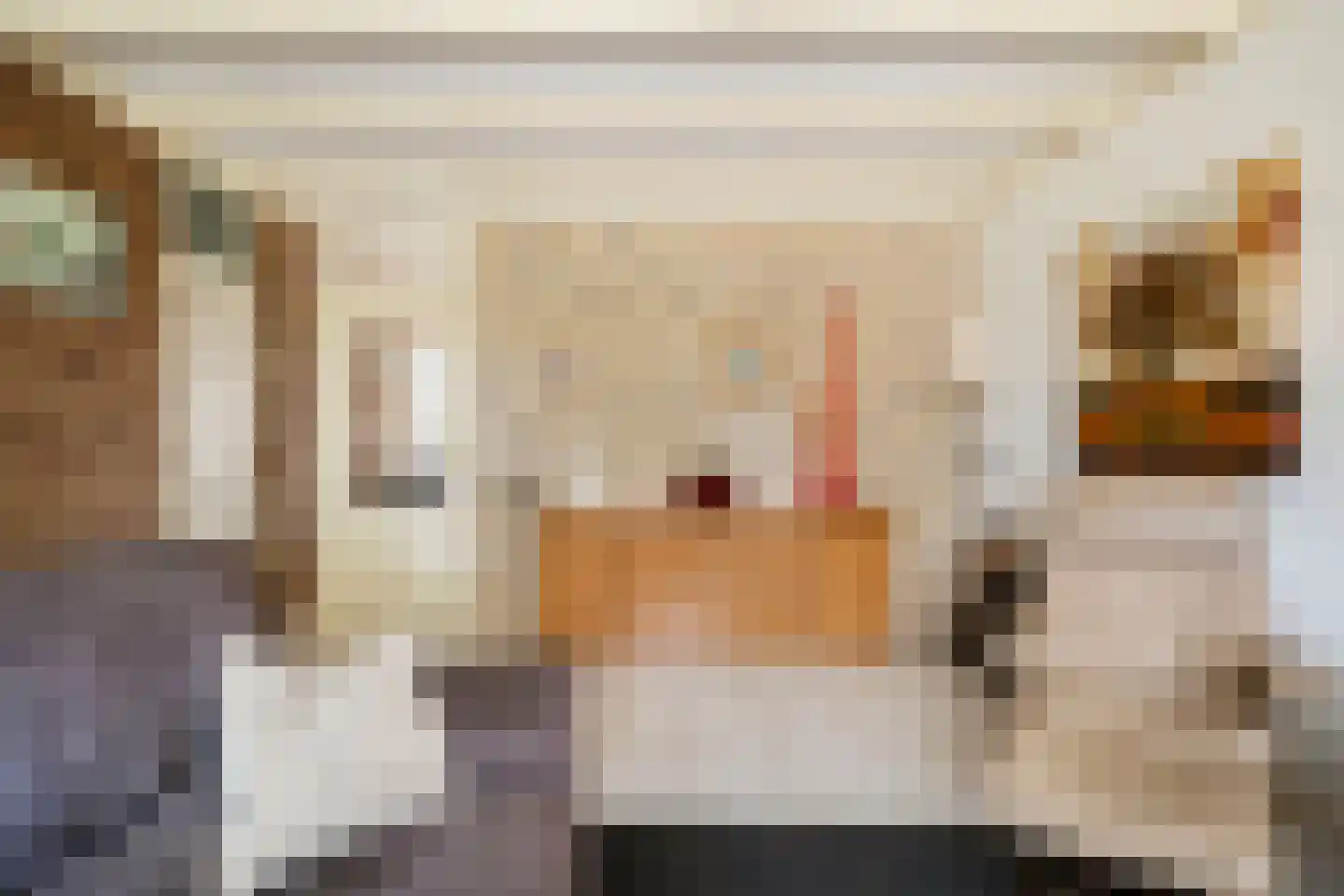 Torenvalk 14 Veenendaal thumbnail 5