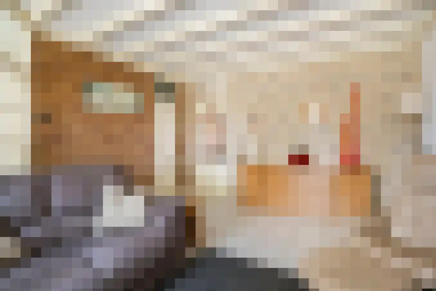 Torenvalk 14 Veenendaal thumbnail 6