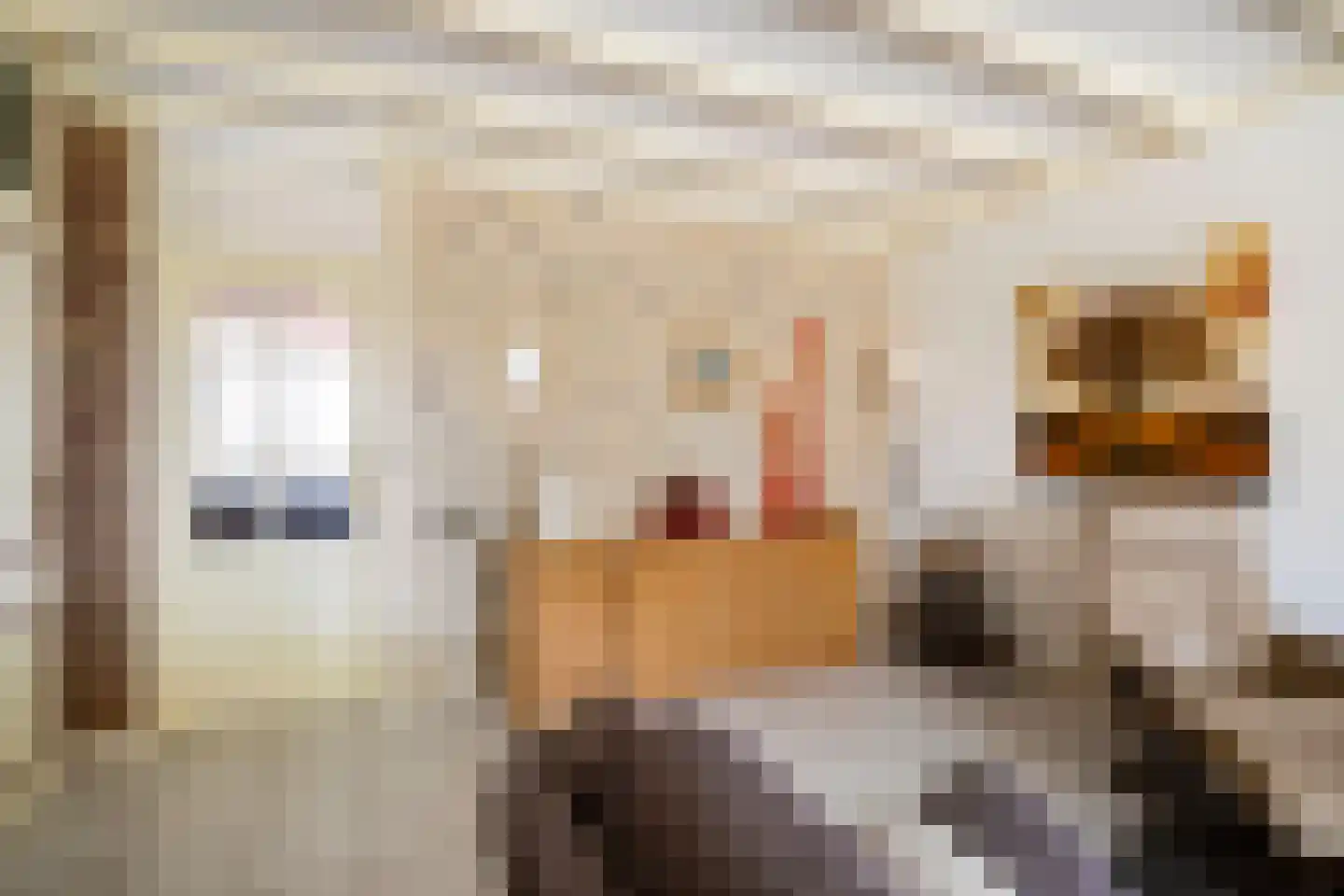 Torenvalk 14 Veenendaal thumbnail 7